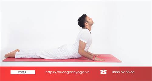 Kiểm soát triệu chứng đau lưng và các bài tập yoga trị liệu đau lưng.
