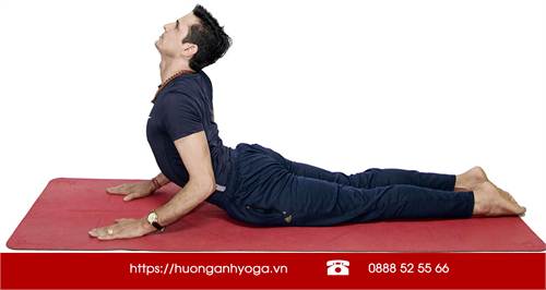 6 tư thế yoga trị đau lưng hiệu quả