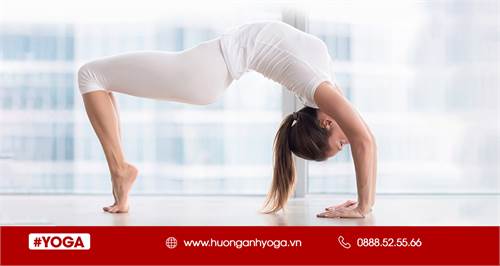 19 tư thế Yoga giúp giảm đau lưng dưới, giữa và trên