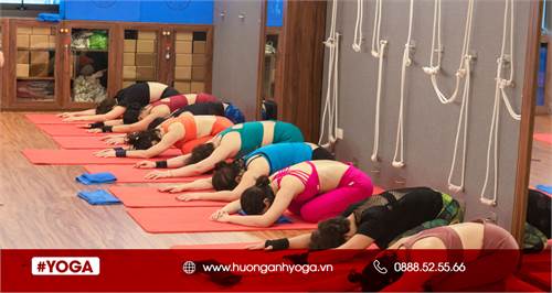 5 Tư thế yoga hiệu quả + 1 Pranayama để loại bỏ sỏi thận