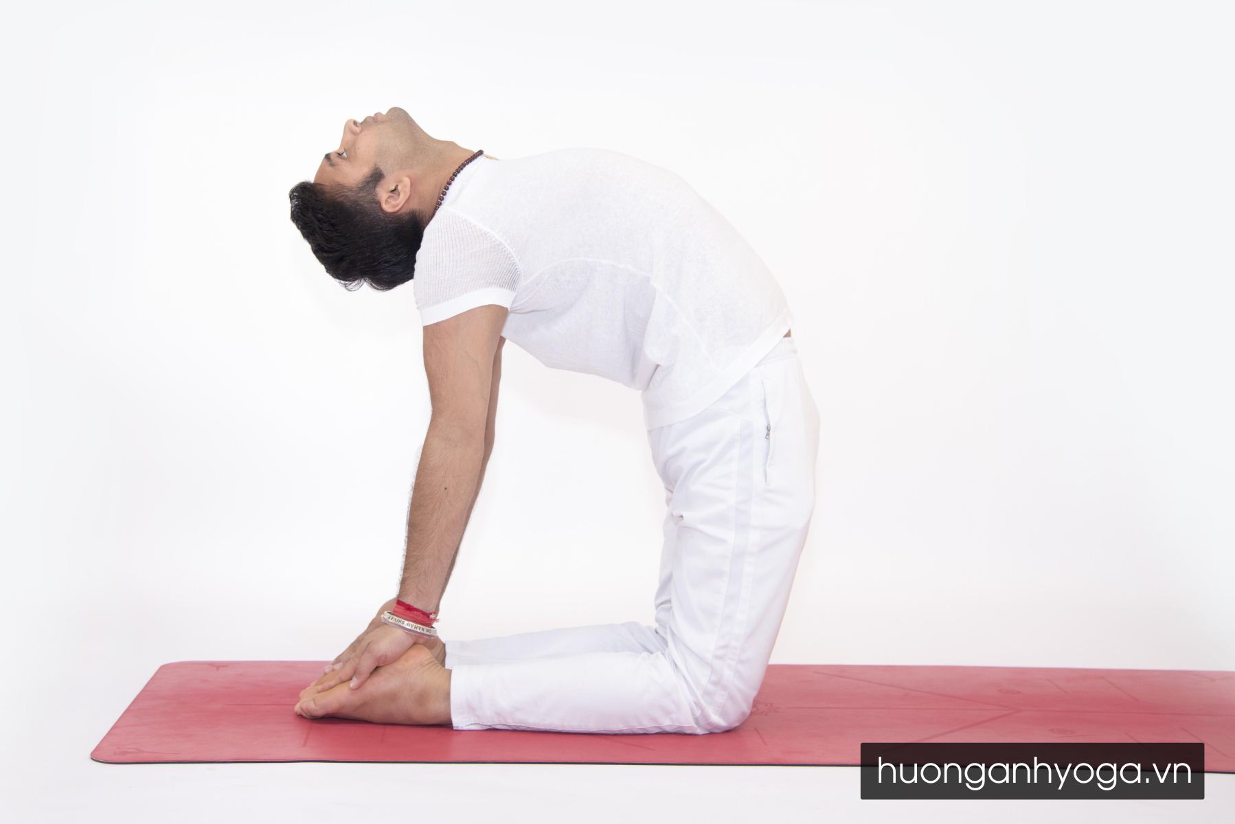yoga trị liệu đau lưng