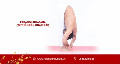 Thực hành Asana - Padangusthasana (Tư thế ngón chân cái)