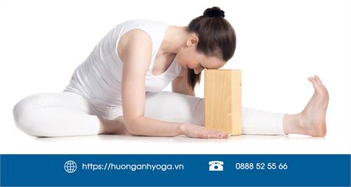 Iyengar-Yoga