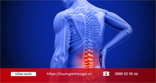 Đau lưng dưới là gì? nguyên nhân gây đau lưng dưới và cách điều trị đau lưng dưới (Phần 1)