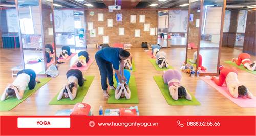 Chương trình giảng dạy lớp HLV Yoga 200h tại Hương Anh có gì đặc biệt
