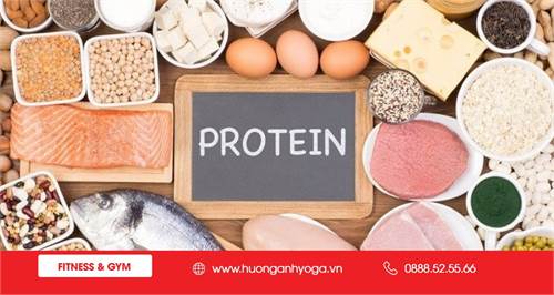 Bạn có biết một ngày nên nạp bao nhiêu protein là hợp lý không?