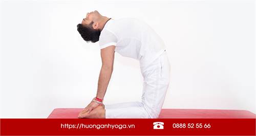 Các tư thế yoga trị liệu đau lưng