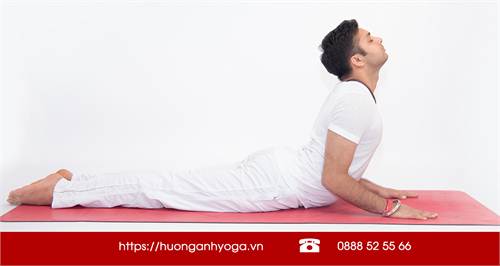 5 lợi ích của tư thế Yoga rắn hổ mang