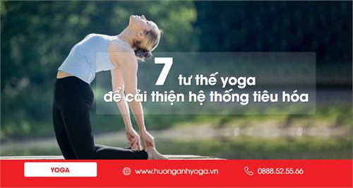 Yoga cho tiêu hóa: 7 tư thế yoga để cải thiện hệ thống tiêu hóa
