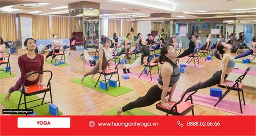 Yoga với ghế( Chair Yoga): Loại hình yoga đặc biệt | Khóa đào tạo HLV Yoga