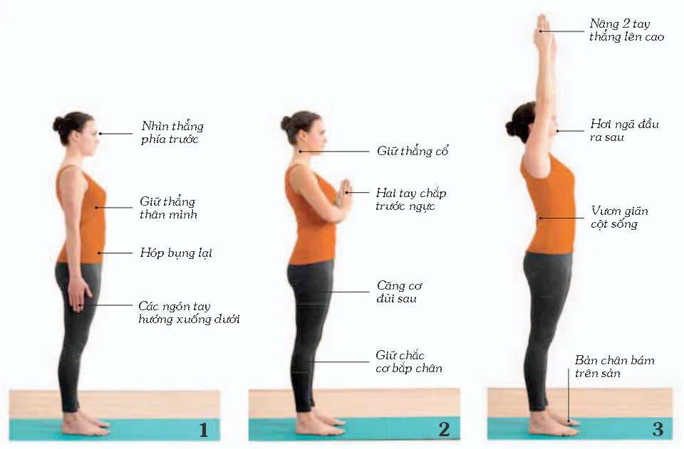 5 bài tập yoga tăng chiều cao hiệu quả cho người trưởng thành