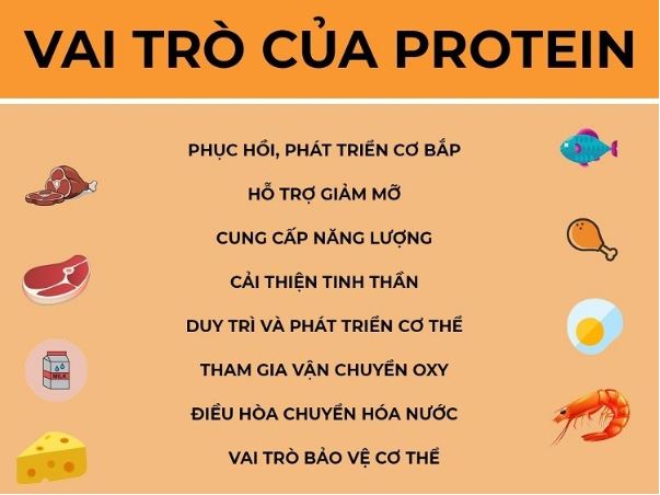 vai-tro-cua-protein-trong-co-the