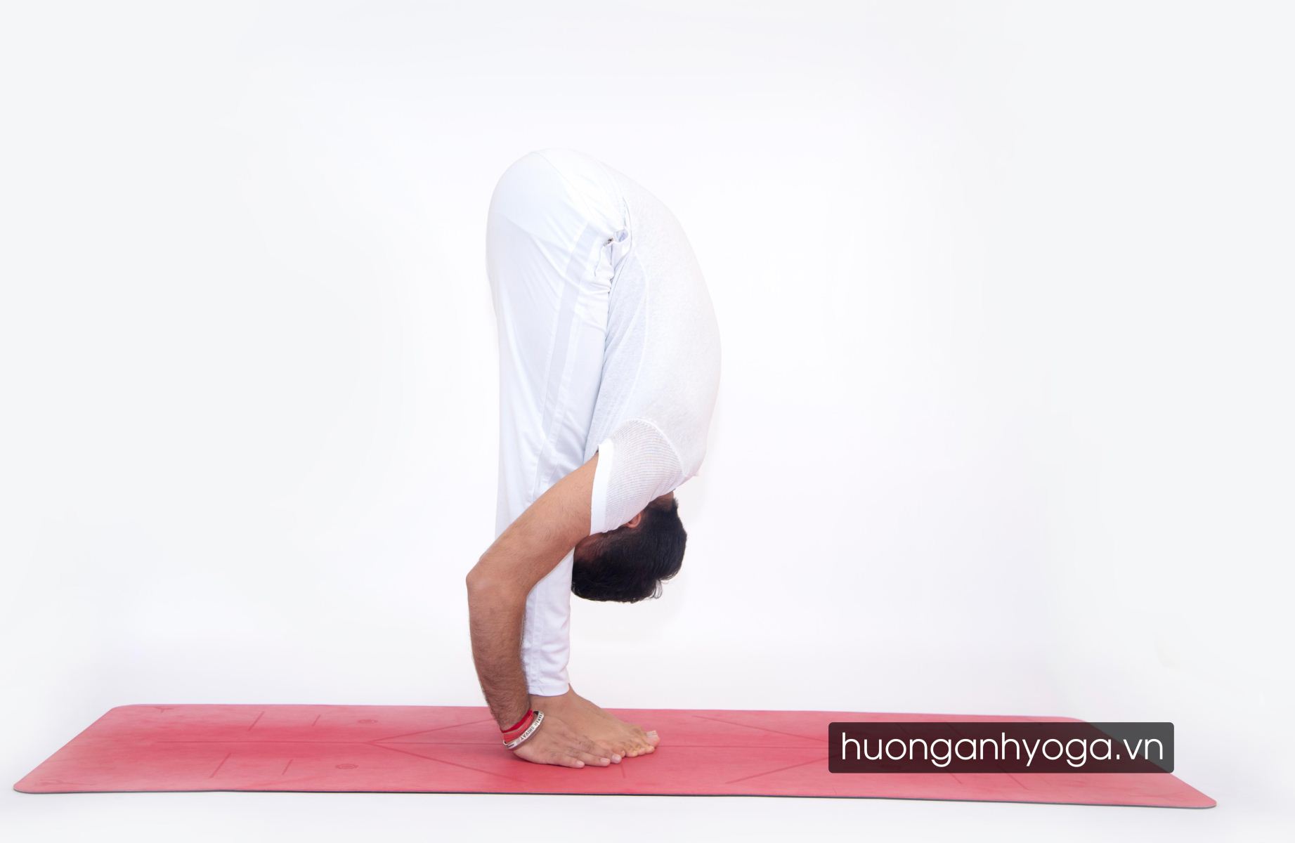 bài tập yoga cho người tập