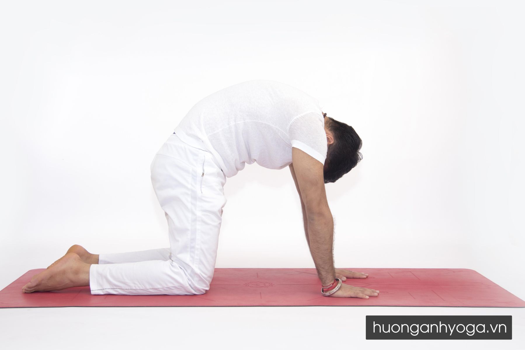 tư thế yoga cho người mới tập