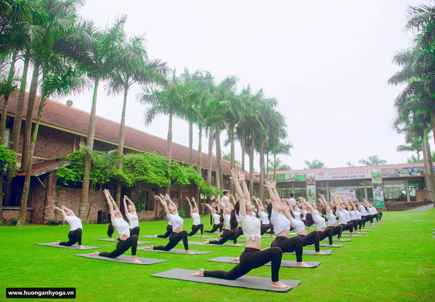 outdoor yoga tập luyện yoga ngoài trời khóa đào tạo hlv yoga