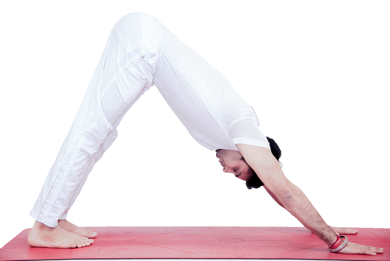 Adho Mukha Svanasana - Yoga để giảm cân
