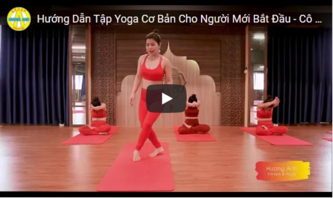 Hướng Dẫn Tập Yoga Cơ Bản Cho Người Mới Bắt Đầu - Cô Ly Nguyễn
