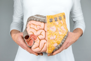 SỰ NGUY HIỂM CỦA MỠ NỘI TẠNG. PHÒNG TRÁNH VÀ LOẠI BỎ MỠ NỘI TẠNG NHƯ THẾ NÀO?